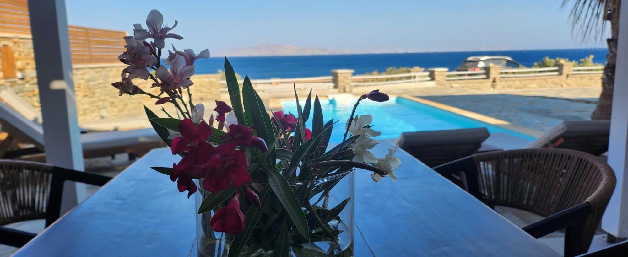 Santamare Villa Tinos ภายนอก รูปภาพ